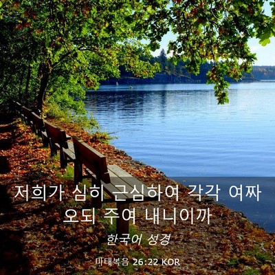 Picture 03 - 마태복음 26:22 KOR - 저희가 심히 근심하여 각각 여짜오되 - Bible Verse Picture