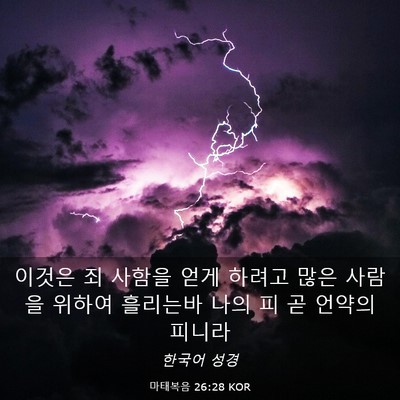 Picture 03 - 마태복음 26:28 KOR - 이것은 죄 사함을 얻게 하려고 많은 - Bible Verse Picture