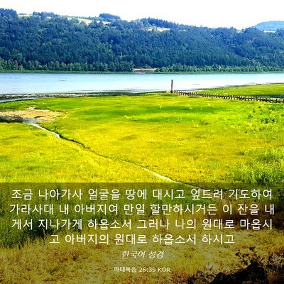 Picture 03 - 마태복음 26:39 KOR - 조금 나아가사 얼굴을 땅에 대시고 - Bible Verse Picture