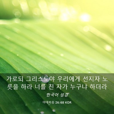 Picture 03 - 마태복음 26:68 KOR - 가로되 그리스도야 우리에게 선지자 - Bible Verse Picture