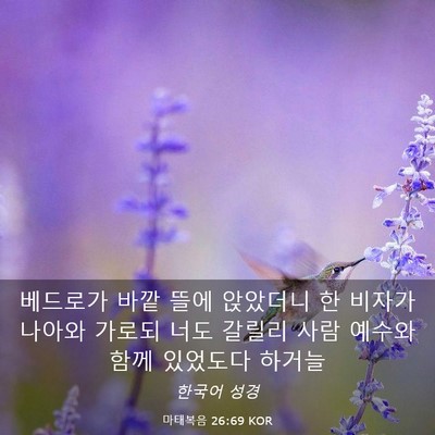 Picture 03 - 마태복음 26:69 KOR - 베드로가 바깥 뜰에 앉았더니 한 - Bible Verse Picture