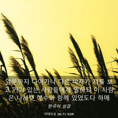 Picture 03 - 마태복음 26:71 KOR - 앞문까지 나아가니 다른 비자가 저를 - Bible Verse Picture