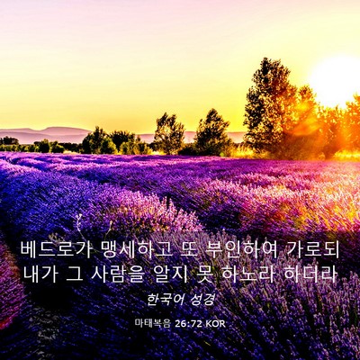 Picture 03 - 마태복음 26:72 KOR - 베드로가 맹세하고 또 부인하여 - Bible Verse Picture