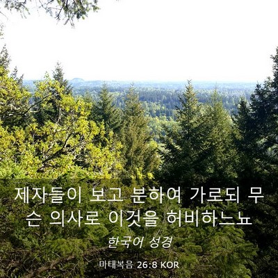 Picture 03 - 마태복음 26:8 KOR - 제자들이 보고 분하여 가로되 무슨 - Bible Verse Picture