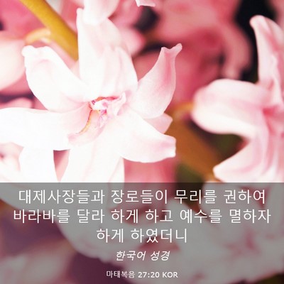 Picture 03 - 마태복음 27:20 KOR - 대제사장들과 장로들이 무리를 - Bible Verse Picture