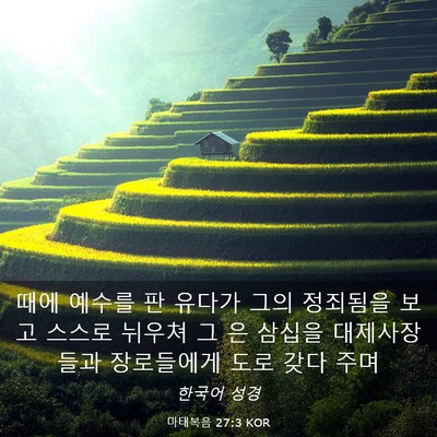 Picture 03 - 마태복음 27:3 KOR - 때에 예수를 판 유다가 그의 - Bible Verse Picture