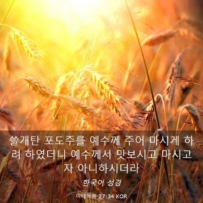 Picture 03 - 마태복음 27:34 KOR - 쓸개탄 포도주를 예수께 주어 마시게 - Bible Verse Picture