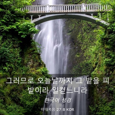 Picture 03 - 마태복음 27:8 KOR - 그러므로 오늘날까지 그 밭을 - Bible Verse Picture