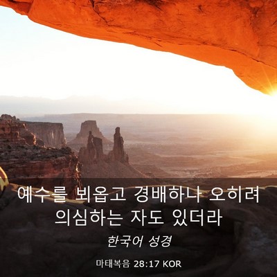 Picture 03 - 마태복음 28:17 KOR - 예수를 뵈옵고 경배하나 오히려 - Bible Verse Picture
