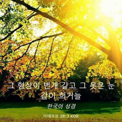 Picture 03 - 마태복음 28:3 KOR - 그 형상이 번개 같고 그 옷은 눈 같이 - Bible Verse Picture