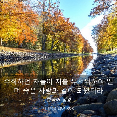 Picture 03 - 마태복음 28:4 KOR - 수직하던 자들이 저를 무서워하여 - Bible Verse Picture