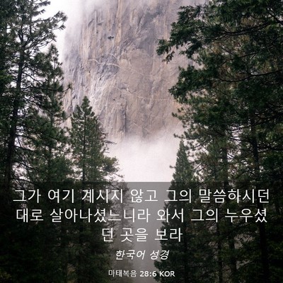 Picture 03 - 마태복음 28:6 KOR - 그가 여기 계시지 않고 그의 - Bible Verse Picture