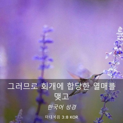 Picture 03 - 마태복음 3:8 KOR - 그러므로 회개에 합당한 열매를 - Bible Verse Picture