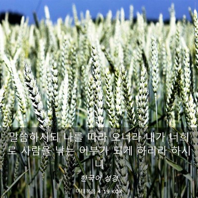 Picture 03 - 마태복음 4:19 KOR - 말씀하시되 나를 따라 오너라 내가 - Bible Verse Picture