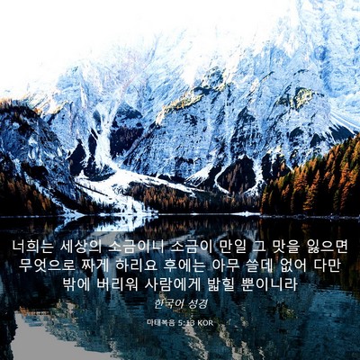 Picture 03 - 마태복음 5:13 KOR - 너희는 세상의 소금이니 소금이 만일 - Bible Verse Picture
