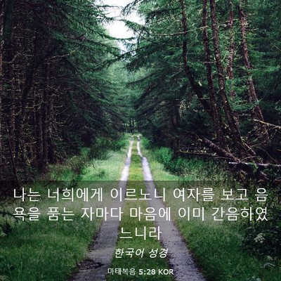 Picture 03 - 마태복음 5:28 KOR - 나는 너희에게 이르노니 여자를 보고 - Bible Verse Picture