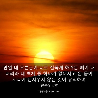 Picture 03 - 마태복음 5:29 KOR - 만일 네 오른눈이 너로 실족케 - Bible Verse Picture
