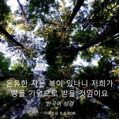 Picture 03 - 마태복음 5:5 KOR - 온유한 자는 복이 있나니 저희가 - Bible Verse Picture