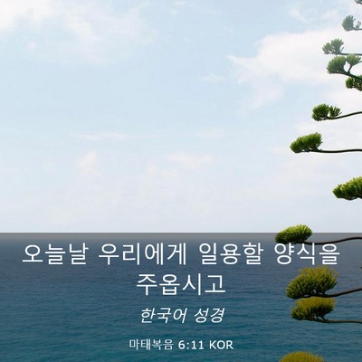 Picture 03 - 마태복음 6:11 KOR - 오늘날 우리에게 일용할 양식을 - Bible Verse Picture