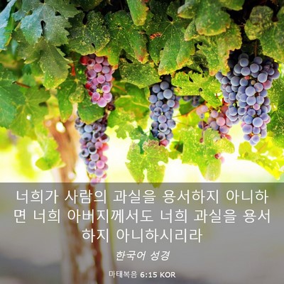 Picture 03 - 마태복음 6:15 KOR - 너희가 사람의 과실을 용서하지 - Bible Verse Picture