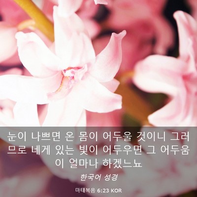 Picture 03 - 마태복음 6:23 KOR - 눈이 나쁘면 온 몸이 어두울 것이니 - Bible Verse Picture