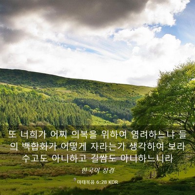 Picture 03 - 마태복음 6:28 KOR - 또 너희가 어찌 의복을 위하여 - Bible Verse Picture