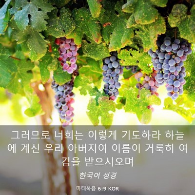 Picture 03 - 마태복음 6:9 KOR - 그러므로 너희는 이렇게 기도하라 - Bible Verse Picture