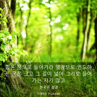 Picture 03 - 마태복음 7:13 KOR - 좁은 문으로 들어가라 멸망으로 - Bible Verse Picture