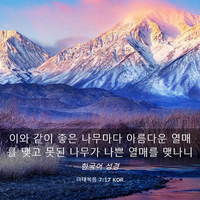 Picture 03 - 마태복음 7:17 KOR - 이와 같이 좋은 나무마다 아름다운 - Bible Verse Picture