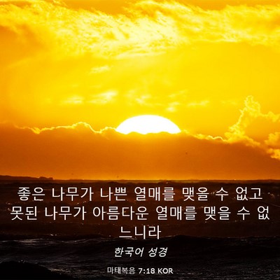 Picture 03 - 마태복음 7:18 KOR - 좋은 나무가 나쁜 열매를 맺을 수 - Bible Verse Picture