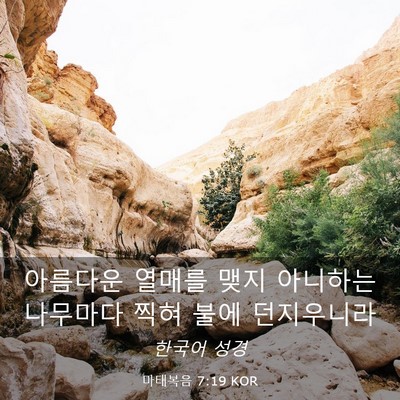 Picture 03 - 마태복음 7:19 KOR - 아름다운 열매를 맺지 아니하는 - Bible Verse Picture