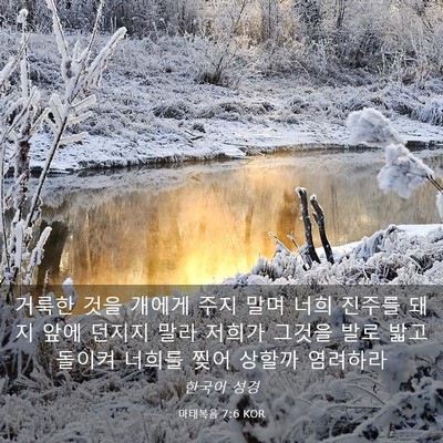 Picture 03 - 마태복음 7:6 KOR - 거룩한 것을 개에게 주지 말며 너희 - Bible Verse Picture