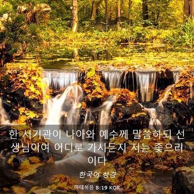 Picture 03 - 마태복음 8:19 KOR - 한 서기관이 나아와 예수께 말씀하되 - Bible Verse Picture