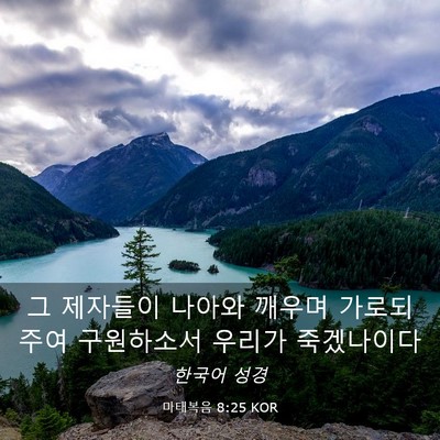 Picture 03 - 마태복음 8:25 KOR - 그 제자들이 나아와 깨우며 가로되 - Bible Verse Picture