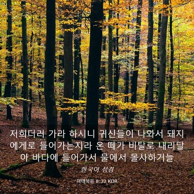 Picture 03 - 마태복음 8:32 KOR - 저희더러 가라 하시니 귀신들이 - Bible Verse Picture