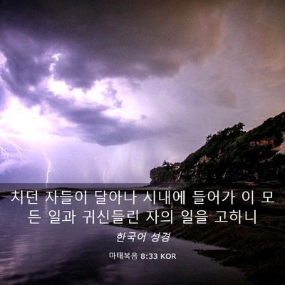 Picture 03 - 마태복음 8:33 KOR - 치던 자들이 달아나 시내에 들어가 - Bible Verse Picture