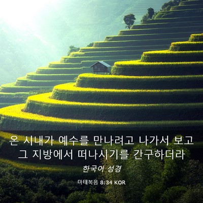 Picture 03 - 마태복음 8:34 KOR - 온 시내가 예수를 만나려고 나가서 - Bible Verse Picture