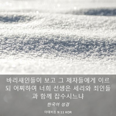Picture 03 - 마태복음 9:11 KOR - 바리새인들이 보고 그 제자들에게 - Bible Verse Picture
