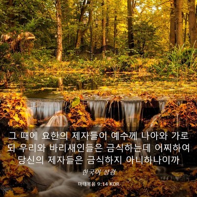 Picture 03 - 마태복음 9:14 KOR - 그 때에 요한의 제자들이 예수께 - Bible Verse Picture