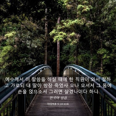 Picture 03 - 마태복음 9:18 KOR - 예수께서 이 말씀을 하실 때에 한 - Bible Verse Picture