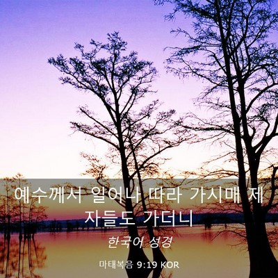 Picture 03 - 마태복음 9:19 KOR - 예수께서 일어나 따라 가시매 - Bible Verse Picture