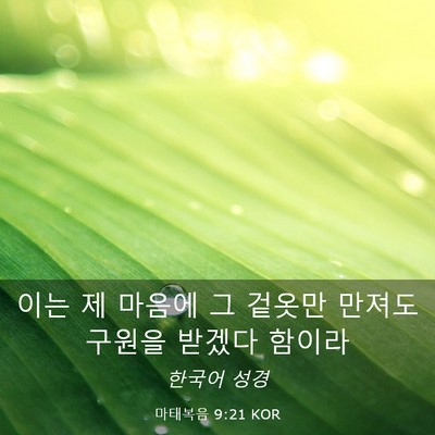 Picture 03 - 마태복음 9:21 KOR - 이는 제 마음에 그 겉옷만 만져도 - Bible Verse Picture