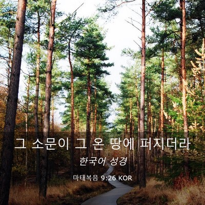 Picture 03 - 마태복음 9:26 KOR - 그 소문이 그 온 땅에 - Bible Verse Picture