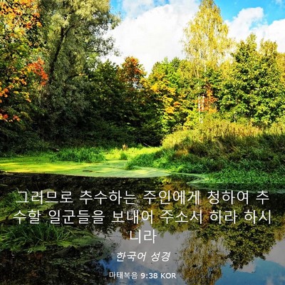 Picture 03 - 마태복음 9:38 KOR - 그러므로 추수하는 주인에게 청하여 - Bible Verse Picture