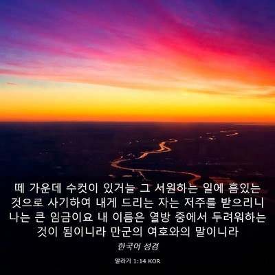 Picture 03 - 말라기 1:14 KOR - 떼 가운데 수컷이 있거늘 그 - Bible Verse Picture