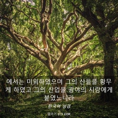 Picture 03 - 말라기 1:3 KOR - 에서는 미워하였으며 그의 산들을 - Bible Verse Picture