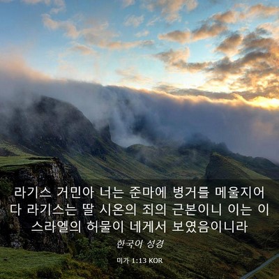 Picture 03 - 미가 1:13 KOR - 라기스 거민아 너는 준마에 병거를 - Bible Verse Picture