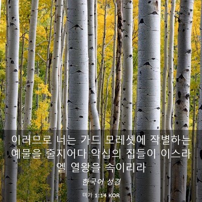 Picture 03 - 미가 1:14 KOR - 이러므로 너는 가드 모레셋에 - Bible Verse Picture