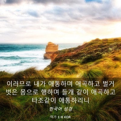 Picture 03 - 미가 1:8 KOR - 이러므로 내가 애통하며 애곡하고 - Bible Verse Picture