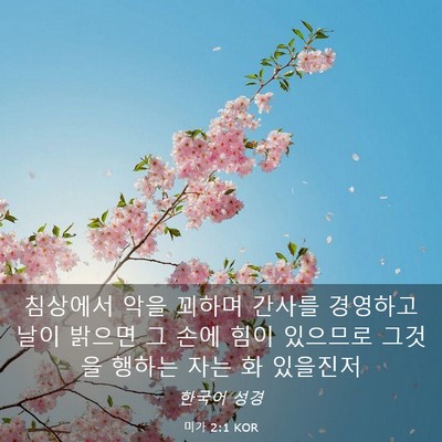 Picture 03 - 미가 2:1 KOR - 침상에서 악을 꾀하며 간사를 - Bible Verse Picture